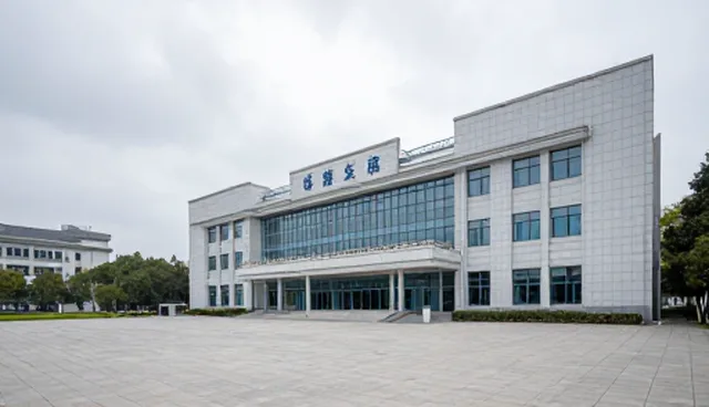 数据洞察如何助力品牌发展中的决策优化